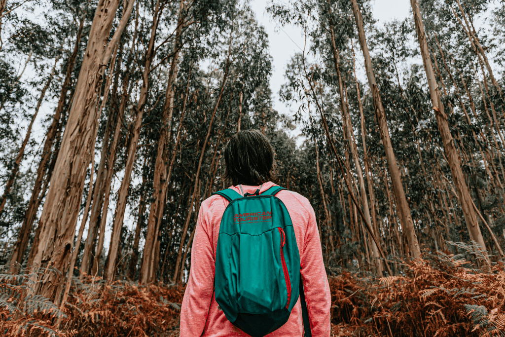 The Top 10 Ways to Plan Your Next Adventure with American Tourister Backpacks - Naivri