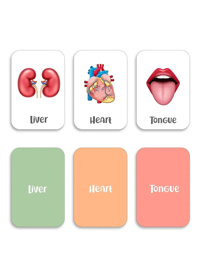 Baby's First Body Parts Flash Cards - Naivri