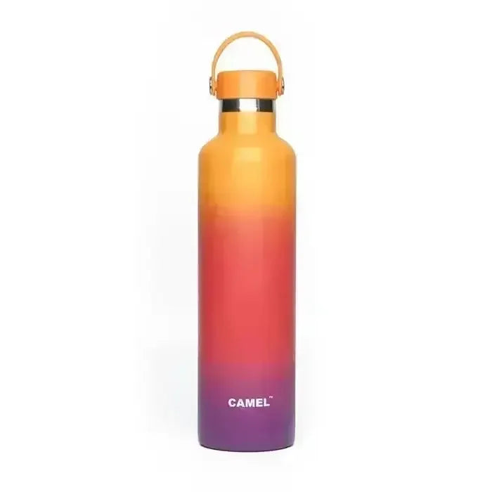 Camel Hydro Vacuum Sports Bottle 500 ML | Insulated Stainless Steel Flask | Leak-Proof Multi-Color Hydration Bottle - Naivri