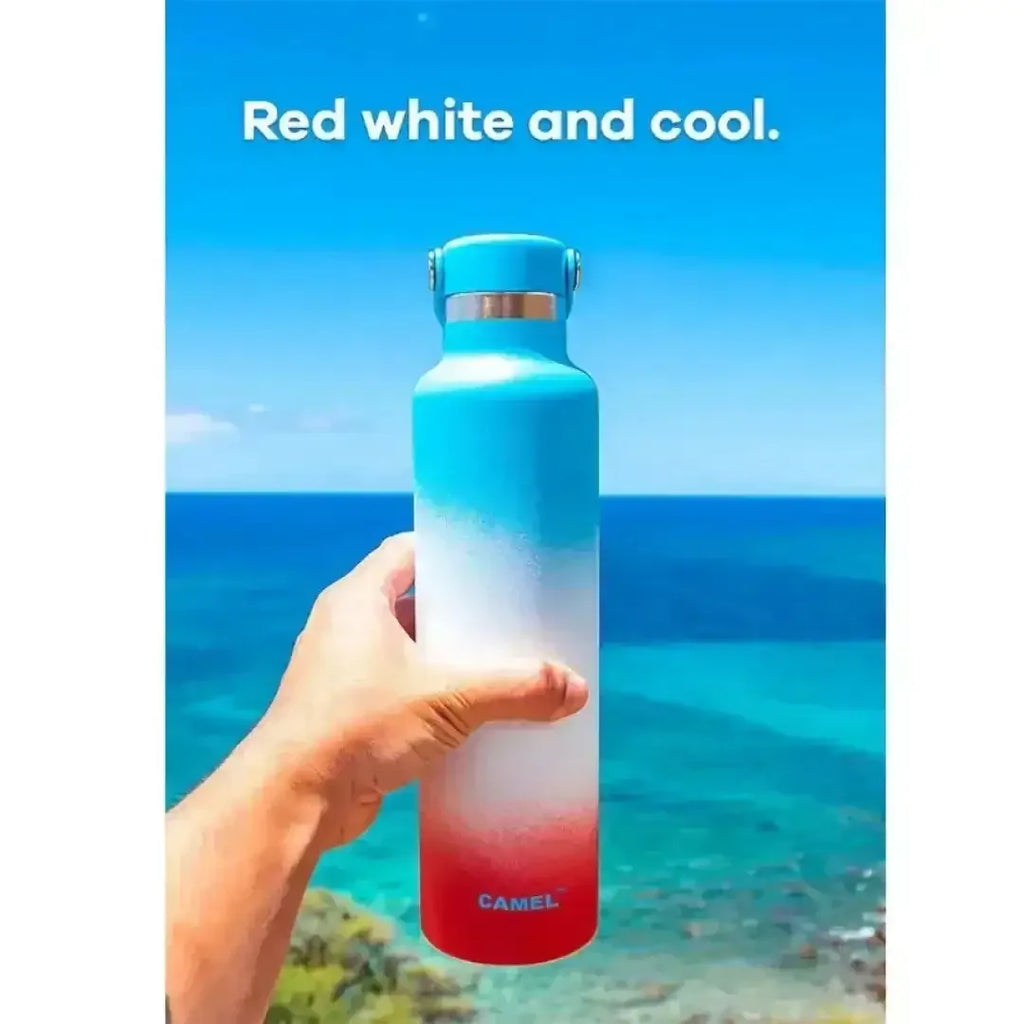 Camel Hydro Vacuum Sports Bottle 500 ML | Insulated Stainless Steel Flask | Leak-Proof Multi-Color Hydration Bottle - Naivri