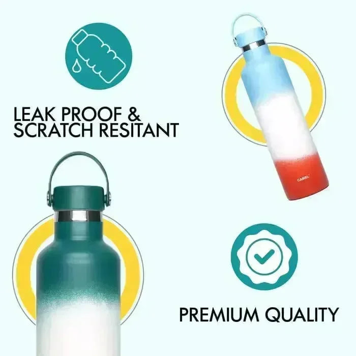 Camel Hydro Vacuum Sports Bottle 500 ML | Insulated Stainless Steel Flask | Leak-Proof Multi-Color Hydration Bottle - Naivri