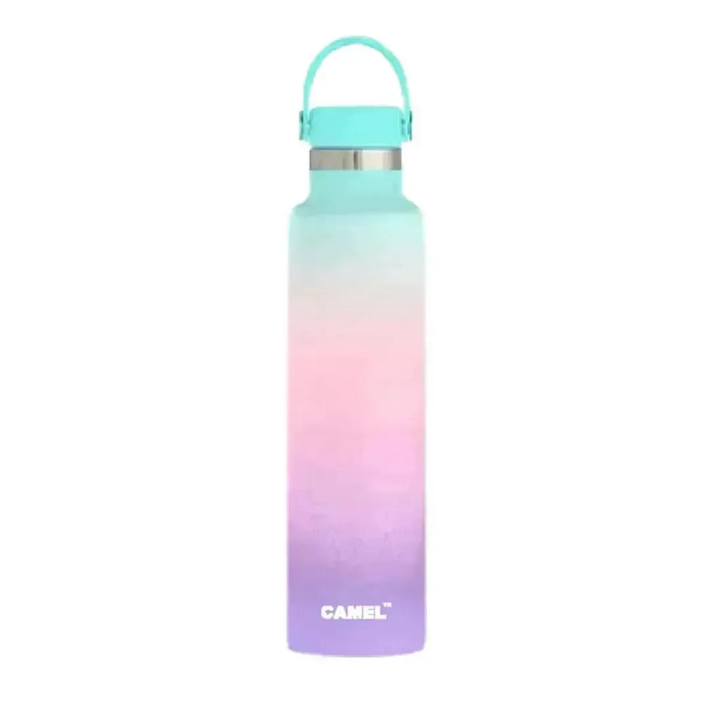 Camel Hydro Vacuum Sports Bottle 500 ML | Insulated Stainless Steel Flask | Leak-Proof Multi-Color Hydration Bottle - Naivri