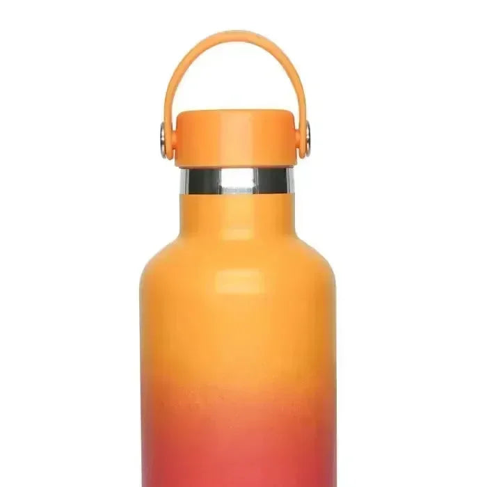 Camel Hydro Vacuum Sports Bottle 500 ML | Insulated Stainless Steel Flask | Leak-Proof Multi-Color Hydration Bottle - Naivri