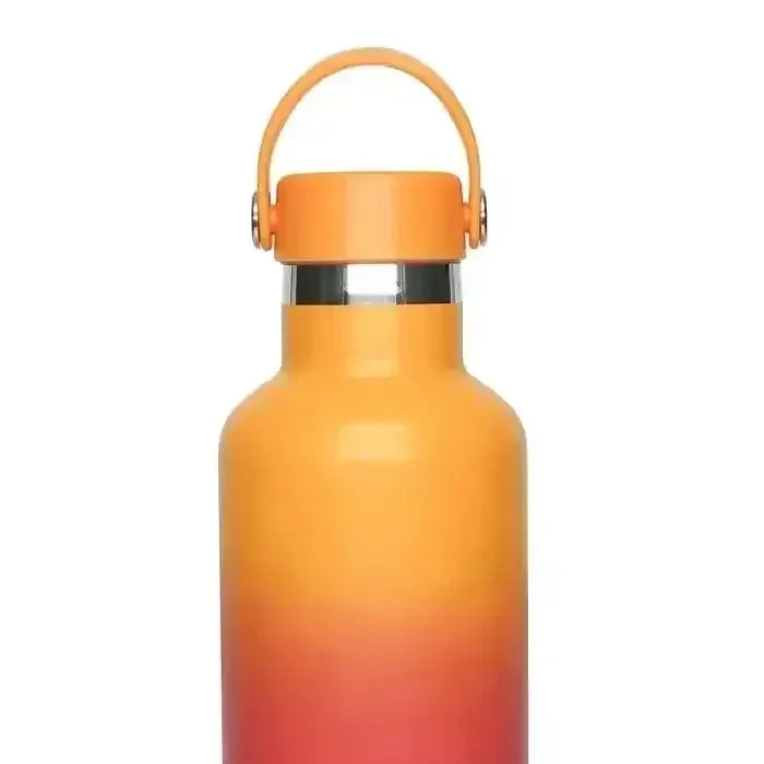 Camel Hydro Vacuum Sports Bottle 500 ML | Insulated Stainless Steel Flask | Leak-Proof Multi-Color Hydration Bottle - Naivri