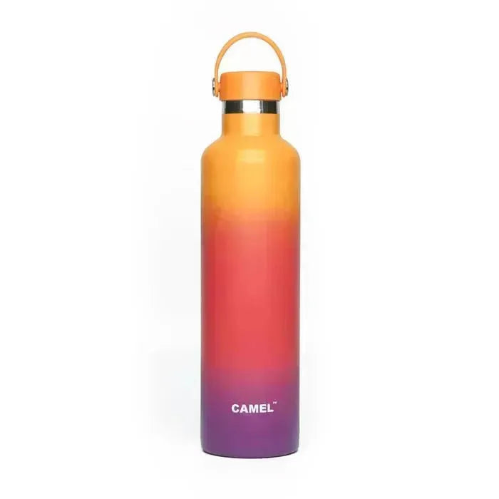 Camel Hydro Vacuum Sports Bottle Stainless Steal 1000 ML - Naivri