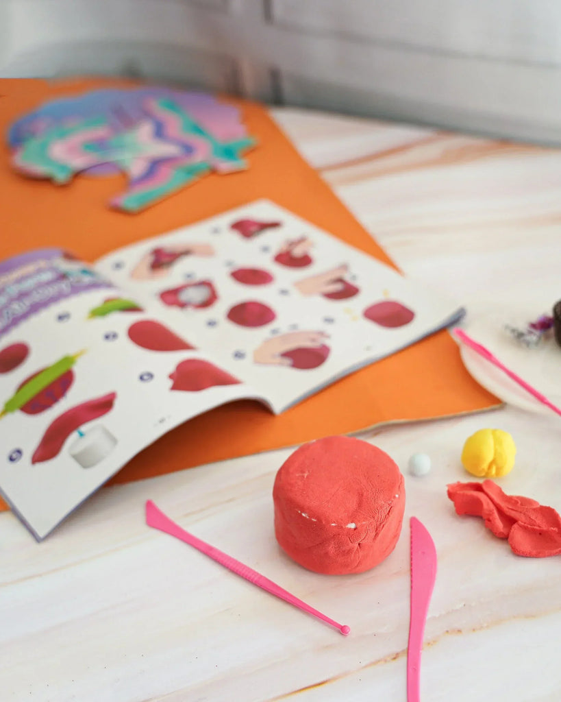 DIY Dessert Clay Making kit - Naivri