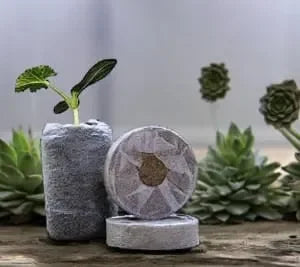 DIY Gardening Kit - Naivri
