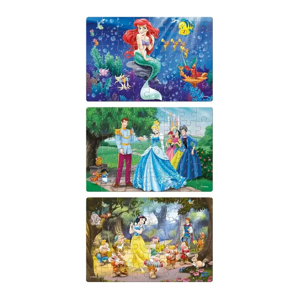 Frank Disney Princess (48 Pieces) 3 in 1 Jigsaw Puzzle for Kids Above 5+ Years - Naivri