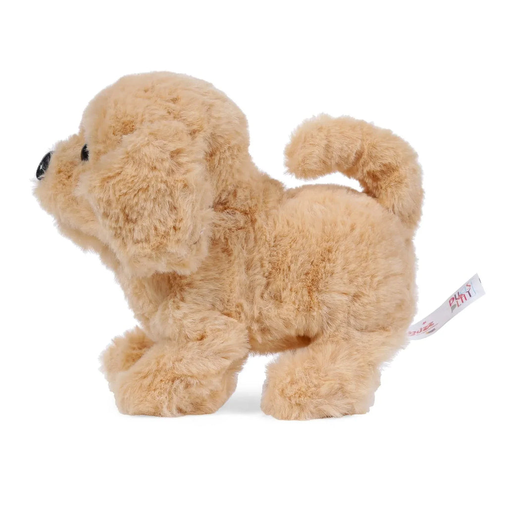 Fuzzbuzz Paw Pets Goldie The Golden Retriever – Realistic Interactive Walking Puppy Toy for Kids (3+ Years) - Naivri
