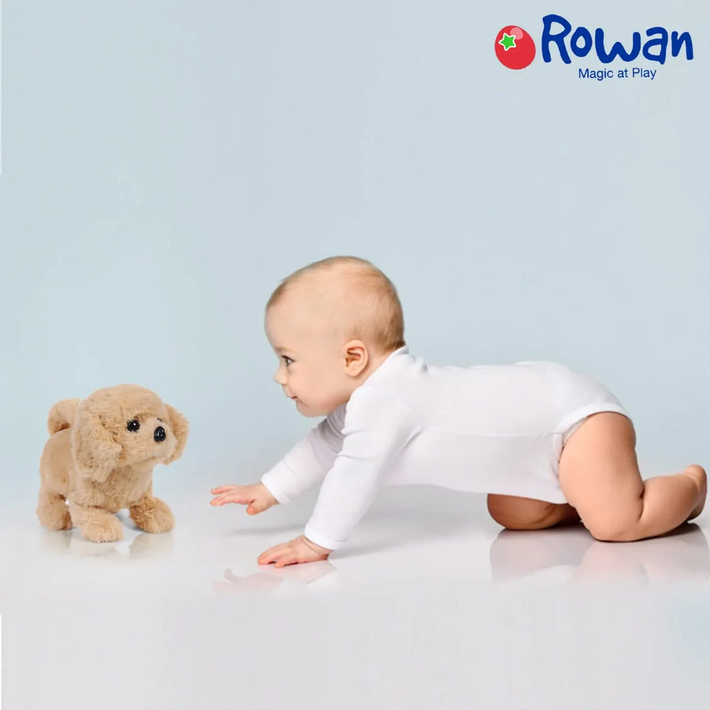 Fuzzbuzz Paw Pets Goldie The Golden Retriever – Realistic Interactive Walking Puppy Toy for Kids (3+ Years) - Naivri