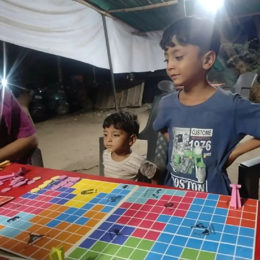 Havi Rajneeti – The family board game | Blend of fun, strategy & luck - Naivri