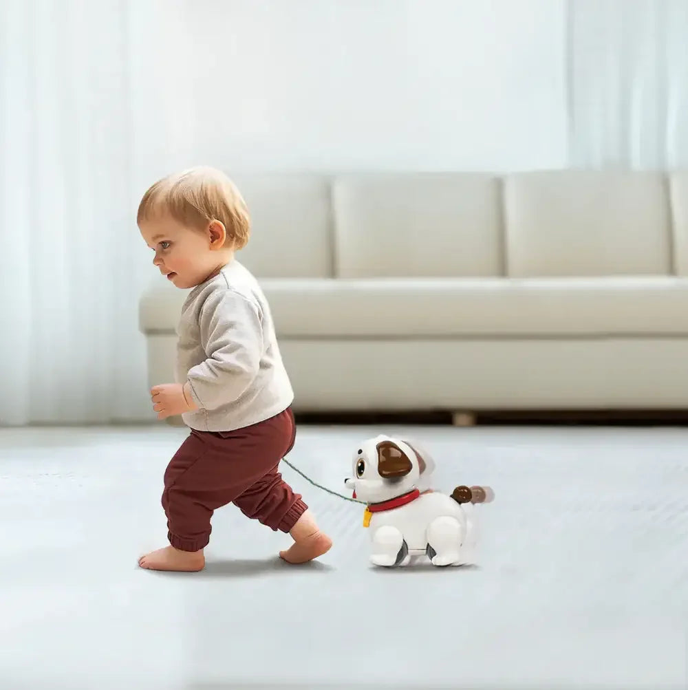 Hola Toddler Learning Puppy – Crawl & Pull Play for 6M+ - Naivri
