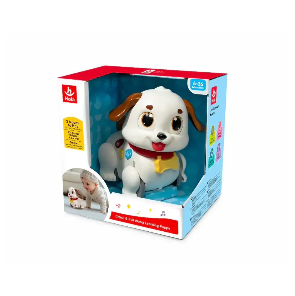 Hola Toddler Learning Puppy – Crawl & Pull Play for 6M+ - Naivri