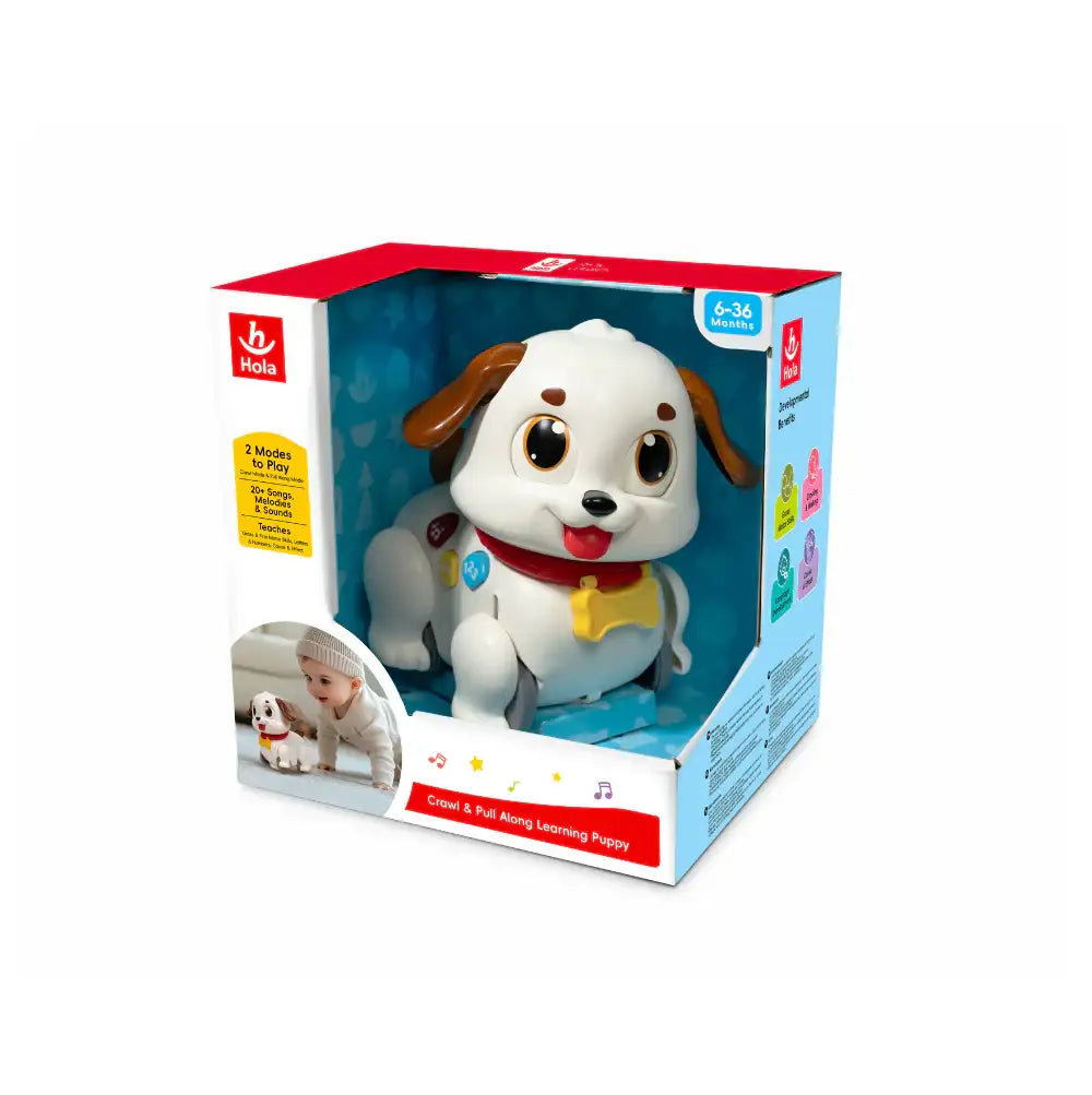 Hola Toddler Learning Puppy – Crawl & Pull Play for 6M+ - Naivri