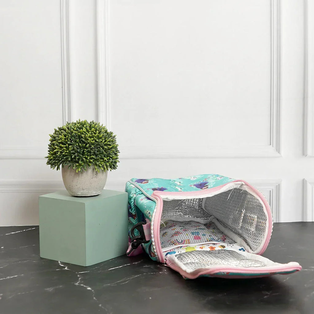 Insulated Lunch Box Bag- Frozen - Naivri
