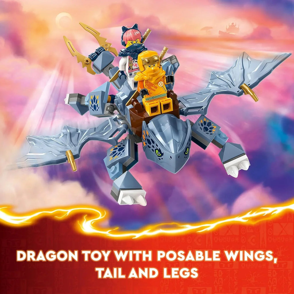 LEGO Ninjago 71810 Young Dragon Riyu Adventure Set – Posable Buildable Dragon Toy for Ages 6+ - Naivri
