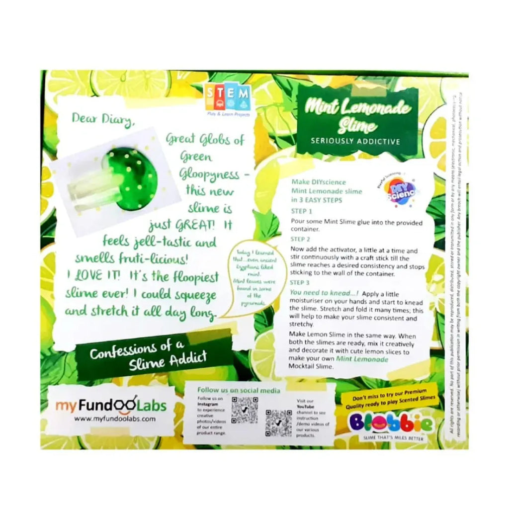 Mint Lemonade 2 in 1 Slime Kit Scented - Naivri