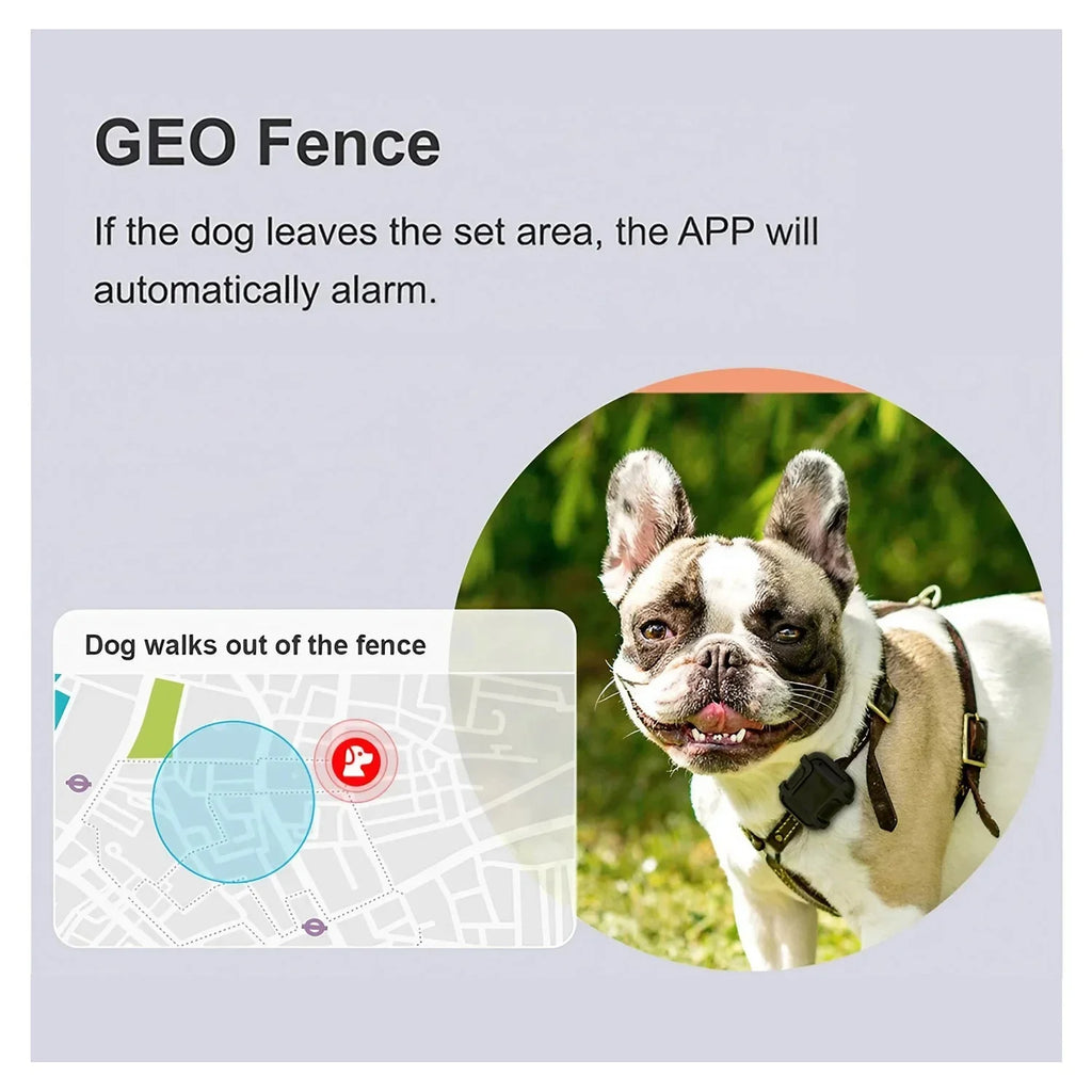 Pet GPS Tracker - Naivri