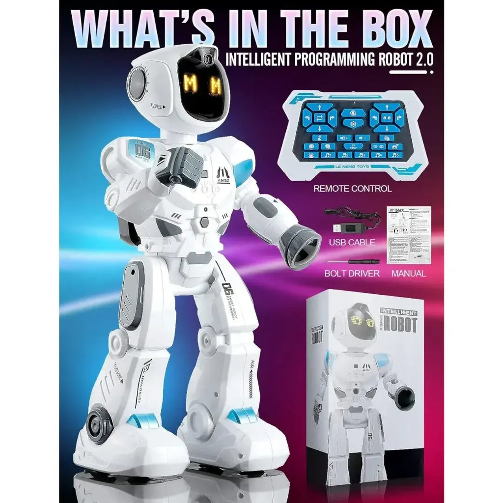 Smart EMO Interactive Robot – Programmable Gesture & Voice Control Toy for Kids 5+ - Naivri