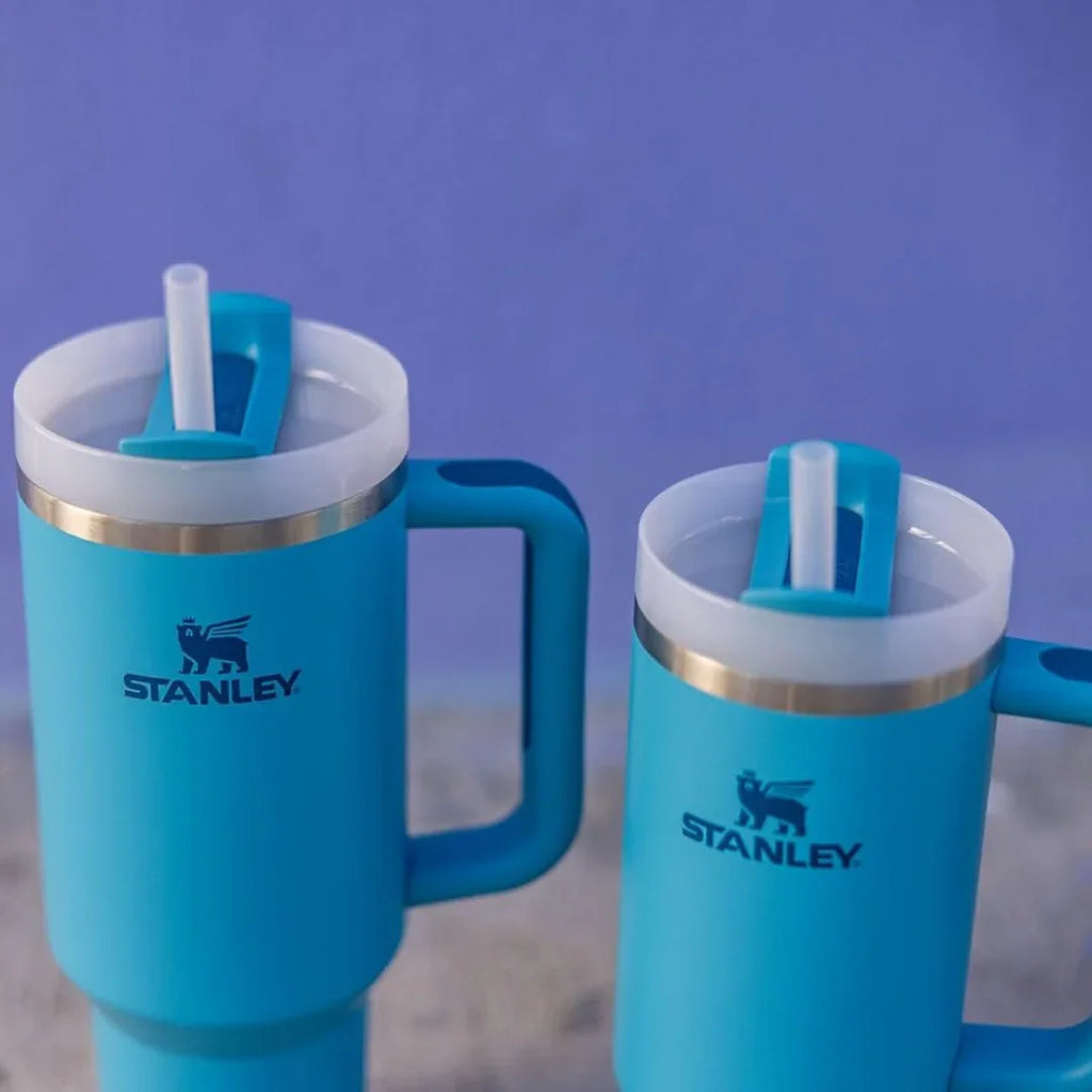 Stanley Quencher H2.0 FlowState 40 oz Stainless Steel Vacuum Insulated Tumbler with Lid and Straw - Naivri