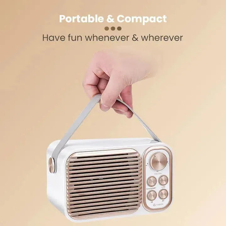 Toreto Tor-376 Retro Mini Wireless Speaker - Naivri