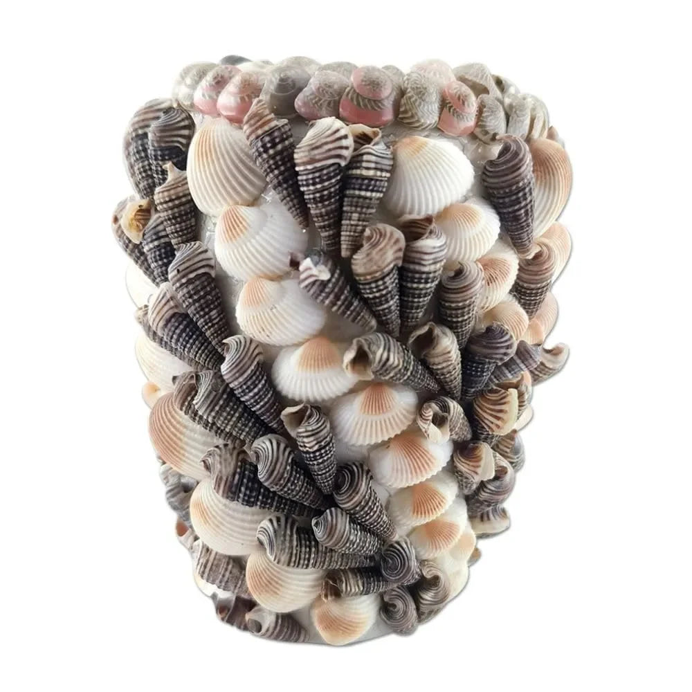 Toykraftt Seashell Display DIY Kit | Creative Terracotta Craft Set for Kids 8+ - Naivri