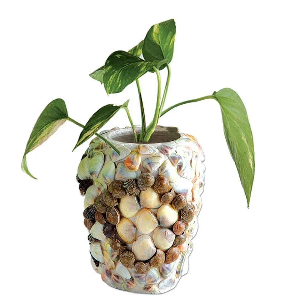 Toykraftt Seashell Display DIY Kit | Creative Terracotta Craft Set for Kids 8+ - Naivri