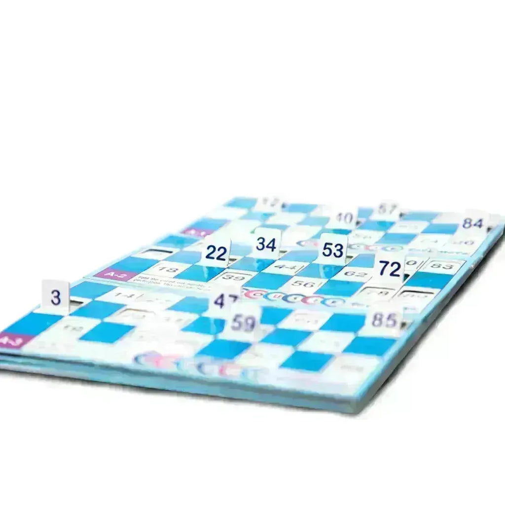 Toymate Housie Blue With 24 Cards - Naivri