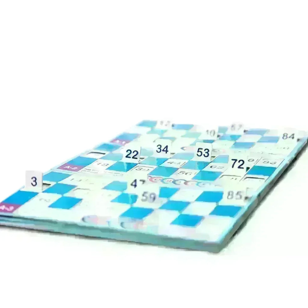 Toymate Housie Blue With 24 Cards - Naivri
