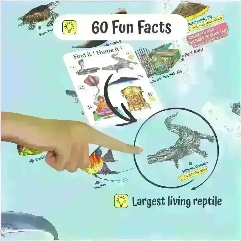 Unik Play Geografika India Map Game for Kids Age 6+ | Educational Board Game with 40 Cards & Jumbo Map | Learn Indian States, Cities & Fun Facts | Geography Learning Kit - Naivri