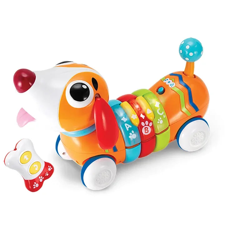 Winfun R/C Rainbow Pup – Remote-Controlled Educational Puppy Toy for Toddlers - Naivri