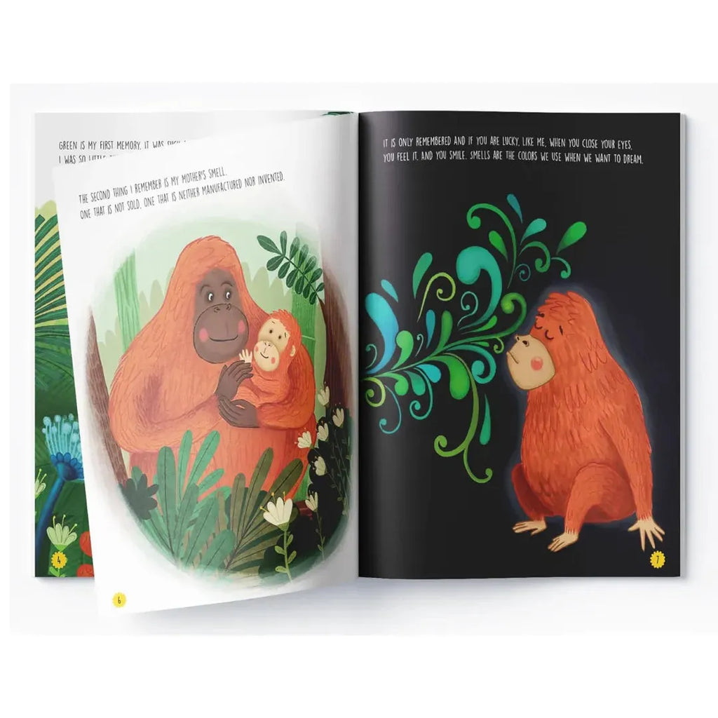 Wonder House Jo-Jo The Orangutan Book - Naivri