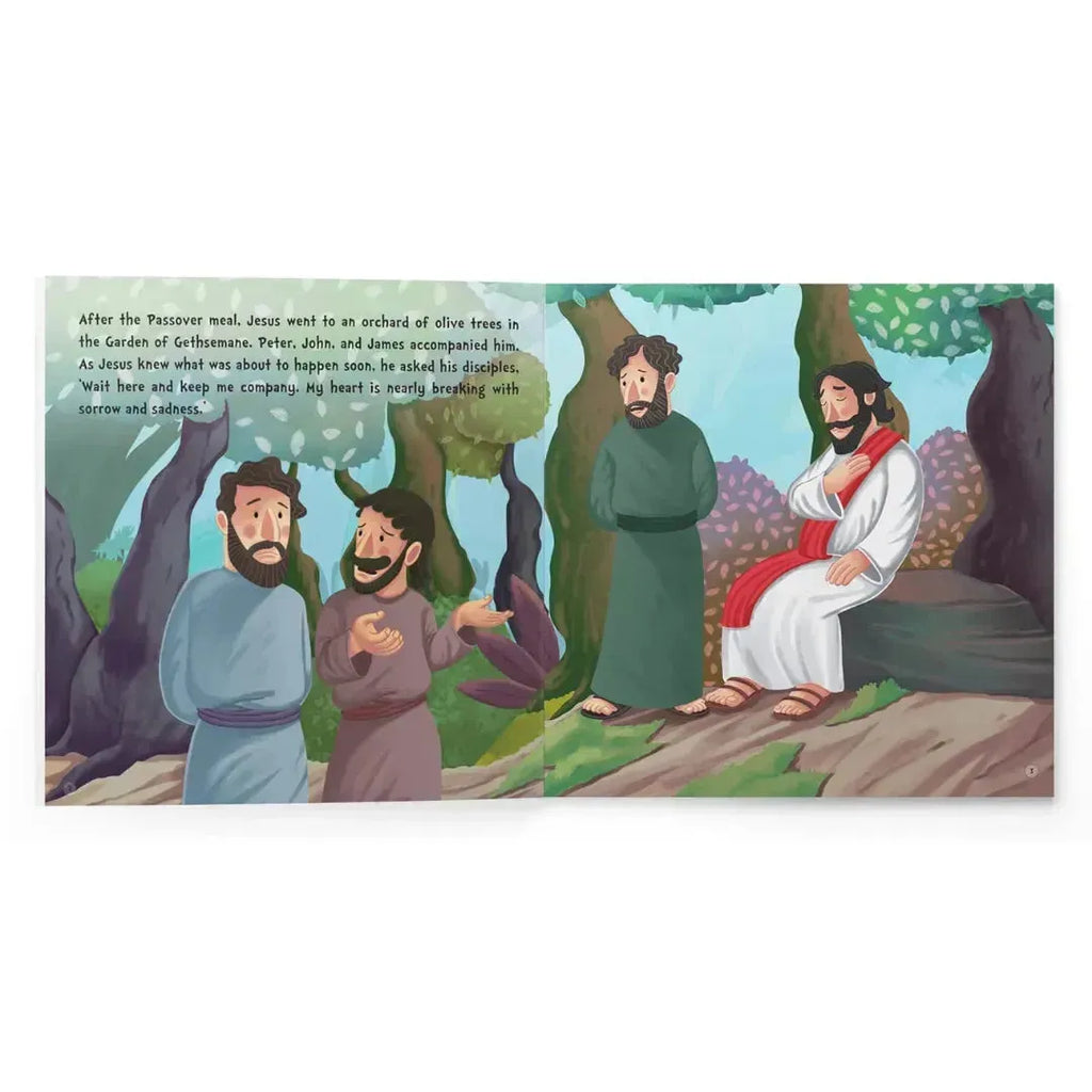 Wonder House My First Illustrated Bible Story: The Grove of Olives - Naivri