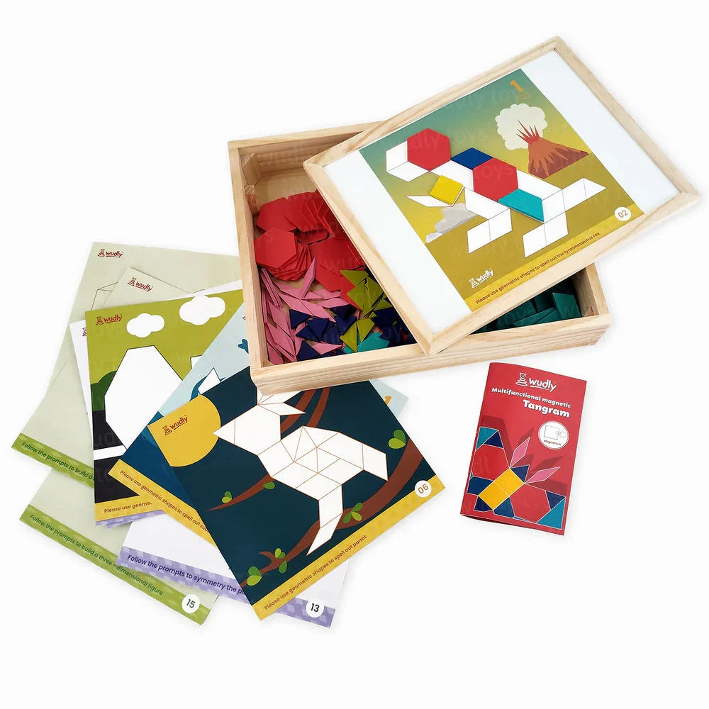 Wudly 3D Magnetic Tangram Puzzle - Naivri