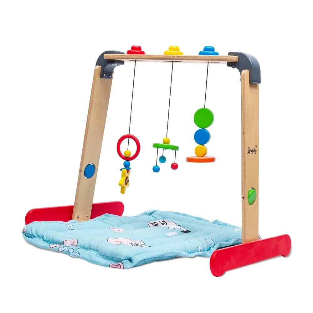 Wudly Baby Gym with Matt - Naivri