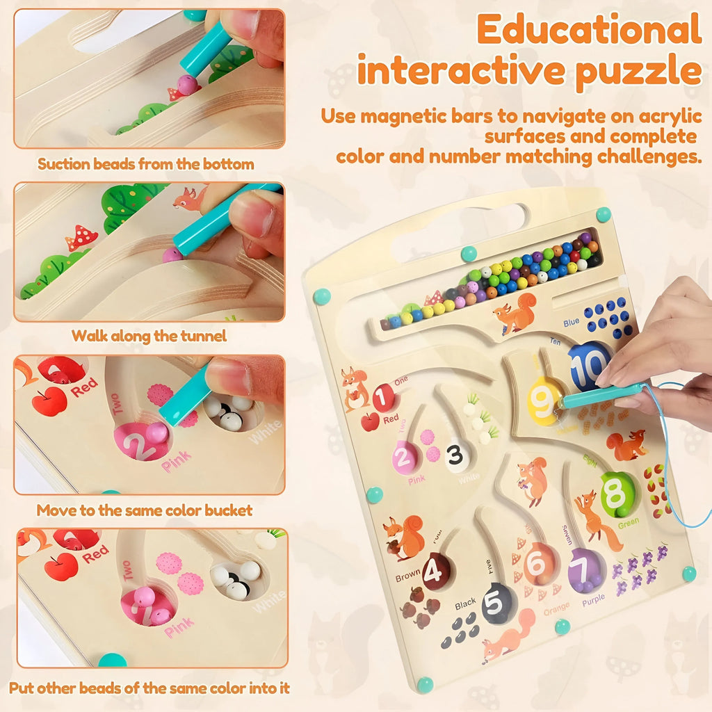Wudly Wooden Educational Magnetic Squirrel Feeding Game, Colours & Numbers Learning Toy - Naivri