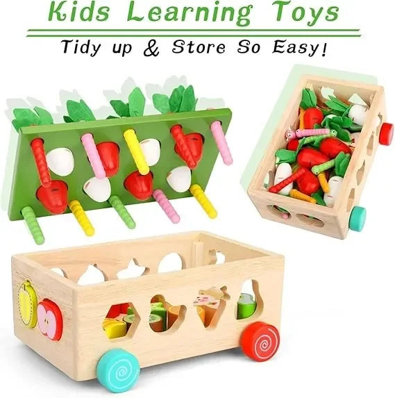 Wudly Wooden Montessori Fine Motor Toys for Baby Toddler, Wooden Shape Sorter Carrot Harvest Game, Preschool Learning Educational Toys for 2+ Years old kids. (Set of 32 pcs) Child Safe Certified. (Multi colors) - Naivri