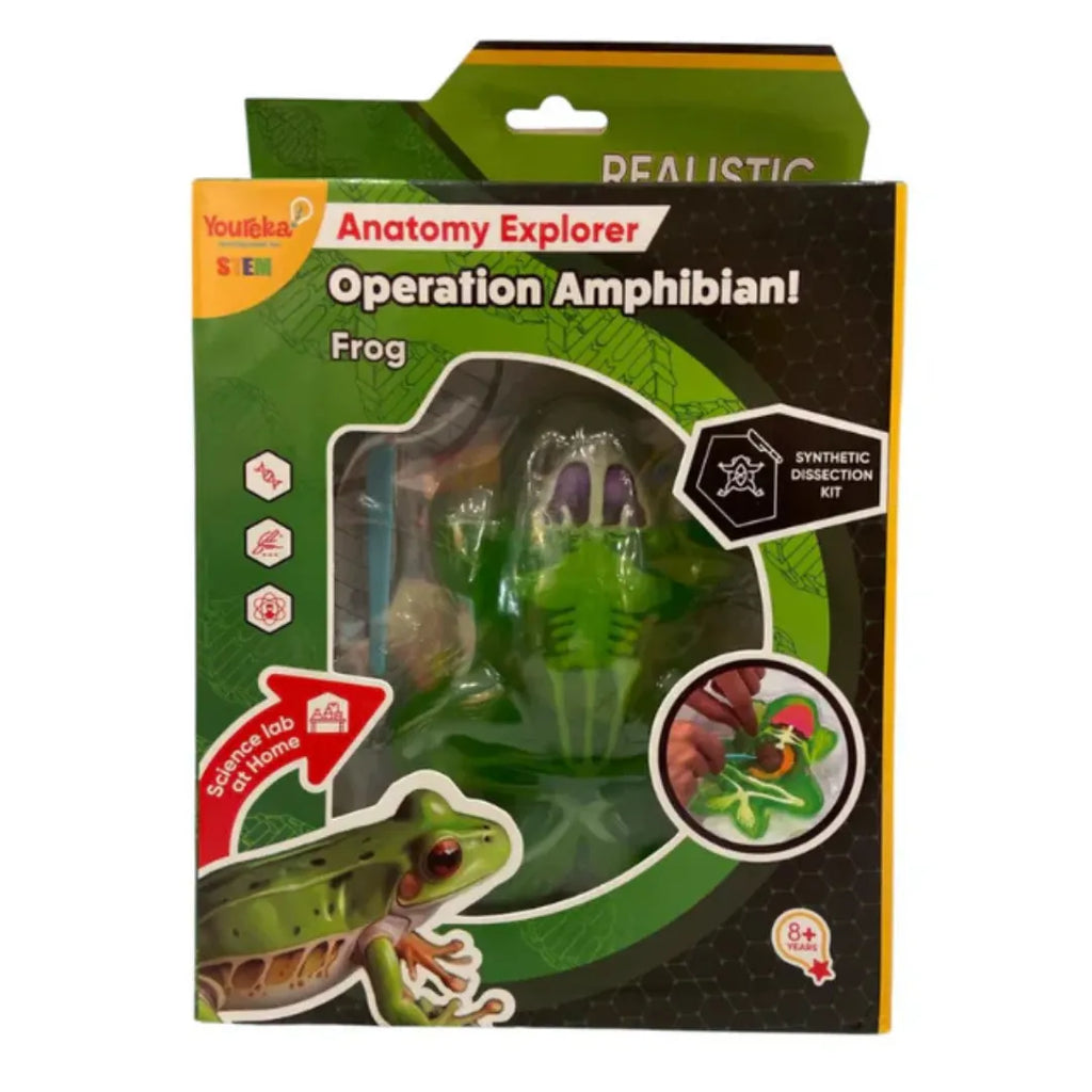 Youreka STEM Anatomy Explorer – Operation Amphibian! Frog Dissection Kit (Ages 8+) - Naivri