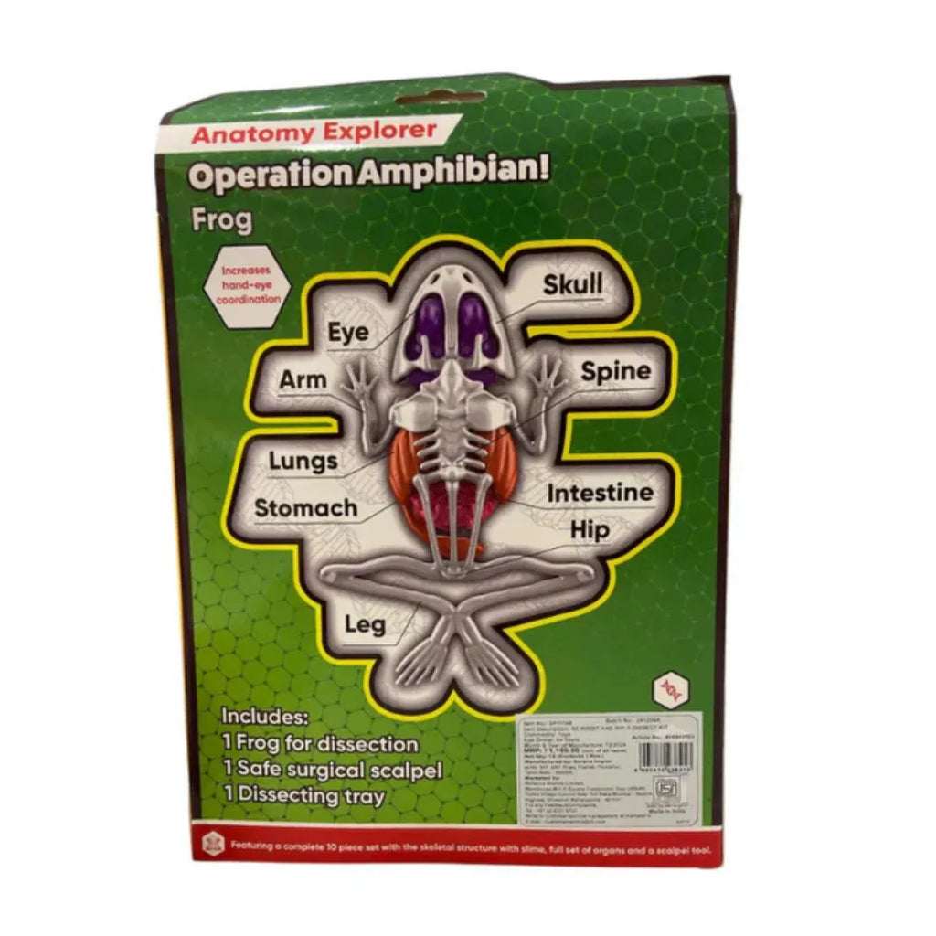 Youreka STEM Anatomy Explorer – Operation Amphibian! Frog Dissection Kit (Ages 8+) - Naivri