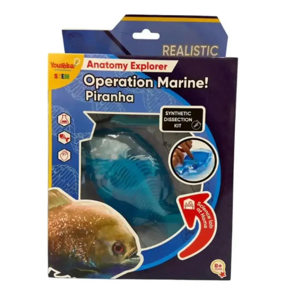 Youreka STEM Anatomy Explorer – Operation Marine! Fish Dissection Kit (Ages 8+) - Naivri