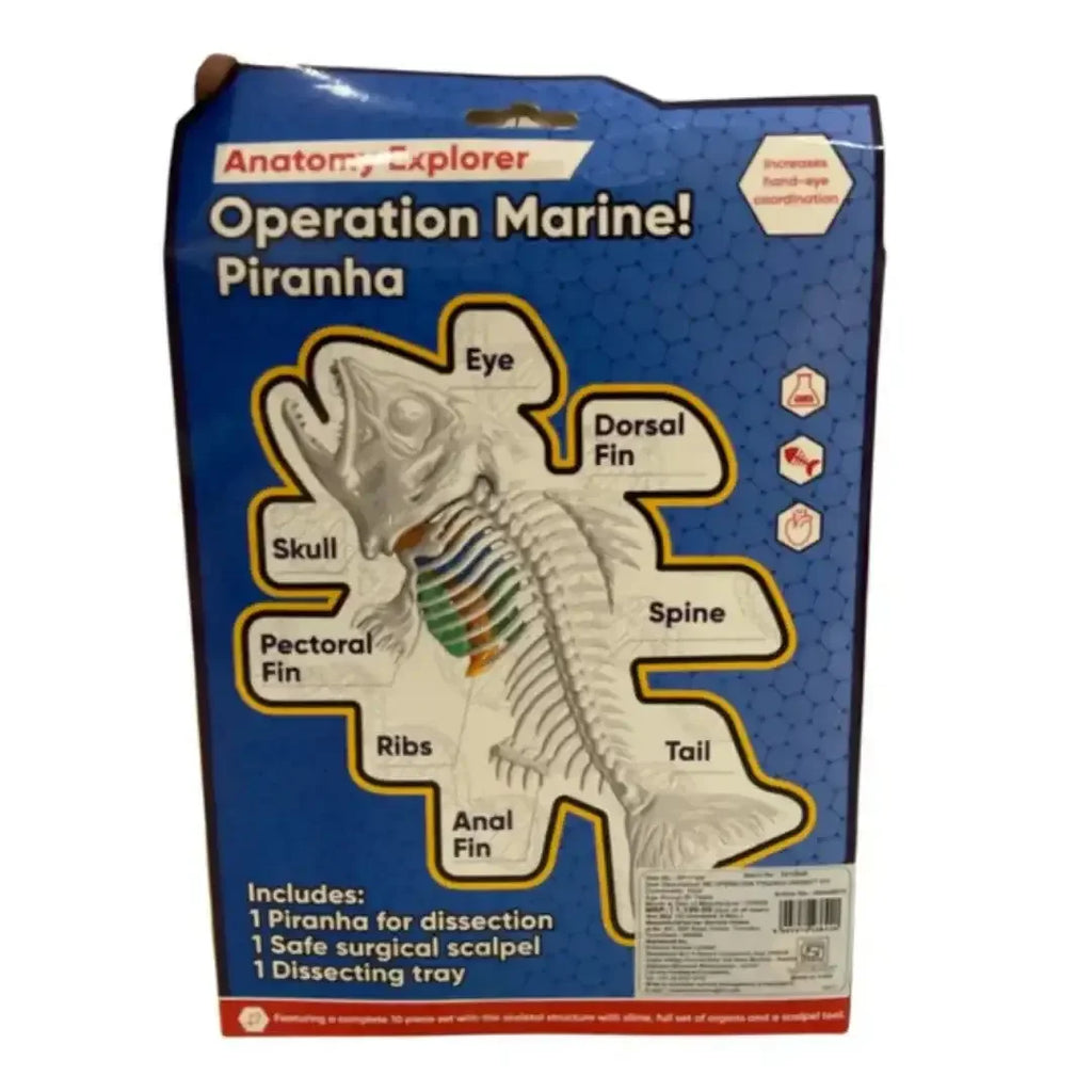 Youreka STEM Anatomy Explorer – Operation Marine! Fish Dissection Kit (Ages 8+) - Naivri